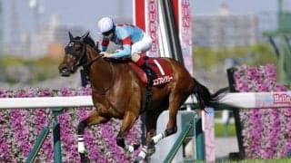 【ヴィクトリアマイル】二冠牝馬エンブロイダリーは6枠12番