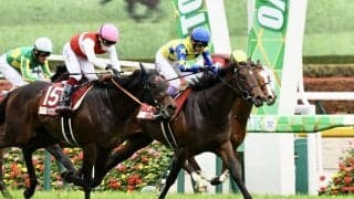 約2年ぶり実戦シュガークンに注目…武豊騎手騎乗馬