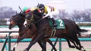京成杯Vのニシノエージェントが門別へ移籍