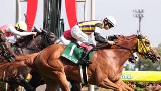 【競馬予想】実力馬ぞろいのヴィクトリアマイルで抜け出すのは？　注目は人気薄から好走する「穴血統」