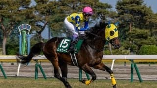 【新潟大賞典】約2年ぶり出走の武豊シュガークンは最下位