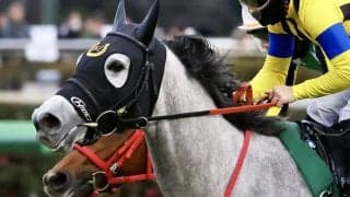 【鞍馬S】フェアリーS覇者、イフェイオンが予後不良