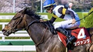 霜降り明星・粗品がヴィクトリアMを予想 ラヴァンダ軸の馬連・3連複で勝負