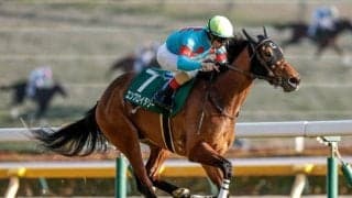 【今日の注目ポイント】春の古馬女王決定戦・ヴィクトリアマイル