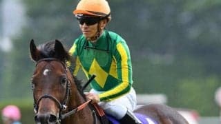 母系に活躍馬ズラリ マジックパレスがルメール騎手でデビュー勝ち狙う