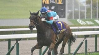 【ヴィクトリアM予想】春の古馬女王決定戦 東京マイルで実力馬が激突