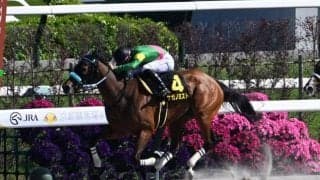【栗東S結果】8番人気タガノミストが逃げ切り勝ち
