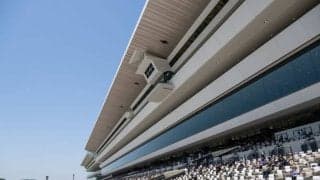 【京都12R】ビップジーニーが接戦制し3勝目…タガノアンファンは4角で落馬競走中止
