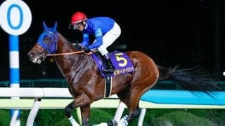 【平安S】ナルカミ、ロードクロンヌなどが登録