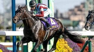 【日本ダービー】ロブチェン、コンジェスタスなどが登録