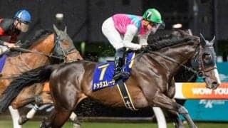 【大井・大井記念枠順】1着賞金4000万円の大一番 川崎記念2着ドゥラエレーデは8枠16番