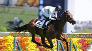 【東京7R】トミーバローズが6馬身差圧勝…坂井瑠星騎手と能力全開