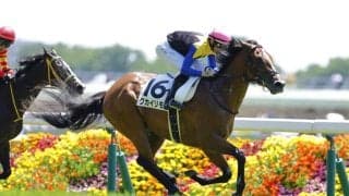 【東京4R】クカイリモクが断然人気に応える…レーンの手綱で初勝利