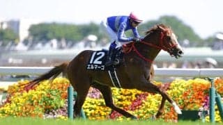 【テレ玉杯】ゴンサルベス騎乗、エルマーゴが鮮やか差し切りV
