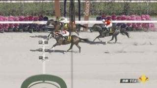 「可愛すぎる」競馬場に現れた“ご当地ゆるキャラ”を囲む大勢の競馬ファンにほっこり「ぼっちだったのが今では…」