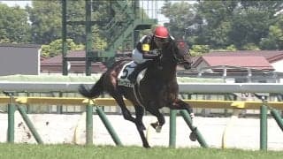 「泣ける」ディープインパクト産駒の“9歳馬”、6年ぶり勝利に感動の声「これぞ競馬のロマン！」「戦績見てうるっと」