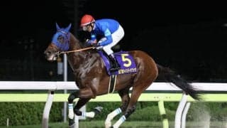 【平安S登録馬】ナルカミなど19頭