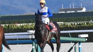 【平安S見どころ】前走の経験を糧に巻き返すロードクロンヌ