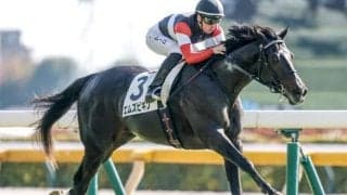 【日本ダービー出走馬決定順】エムズビギンまでの18頭が出走可能 カフジエメンタールとケントンが除外対象