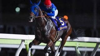 【平安S想定騎手】ナルカミは戸崎圭太騎手、ロードクロンヌは横山和生騎手