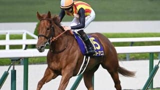【AI予想・オークス】牝馬クラシック二冠目は王道路線を歩む馬が強さを見せる！ 人工知能も前走桜花賞組に高評価