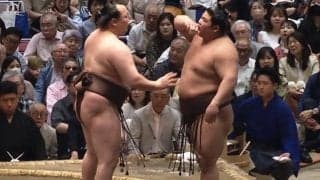 「キレてるやん」伯乃富士、立ち合い合わずに不穏 「いつも合わせない」「怒ってるなw」ファンは困惑