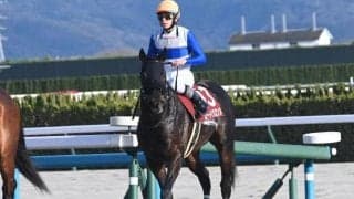 【平安S予想オッズ】ロードクロンヌが予想1番人気