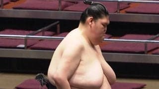 「上半身とのギャップが」「癖になるフォルム」185センチ長身巨漢力士の“ほっそり美脚”にファン熱視線