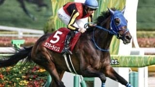 アルアイン産駒に勢い！ ラフターラインズが父にGIタイトルを届けるか