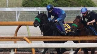 ロブチェン、日本ダービー1週前追い切り速報/栗東トレセンニュース