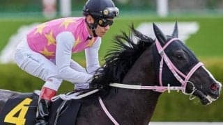 【平安S】27年ぶりの重賞勝利“ヲ”飾れるか ジューンアヲニヨシに要注目