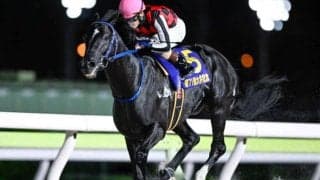 【大井・大井記念結果】サントノーレが6馬身差逃げ切りV！重賞5勝目を挙げる