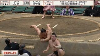「腕危なかったな」行司軍配も差し違った“驚異の突き落とし”に館内どよめく 物凄い体勢で転落も勝利「すごいな着地」驚きの声