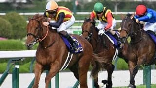 【オークス枠順確定】スターアニスは5枠10番、アランカールは2枠3番