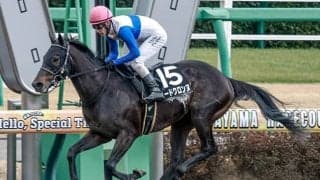 【平安S出走馬・騎手確定】ロードクロンヌ＆横山和生騎手、ナルカミ＆戸崎圭太騎手など16頭