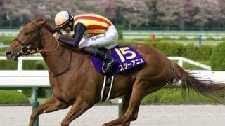 【オークス・調教後馬体重】スターアニスは484kg、アランカールは432kg