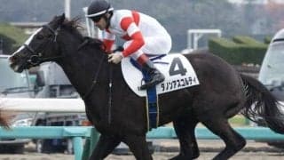 セレクト4億円の超良血 ダノンアスコルティが三度目の正直で初勝利なるか