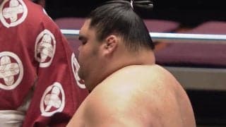 「すげーフォルム」182キロの“まん丸”序二段力士 驚異の体躯に驚きの声 巨漢生かしてがっちり5勝目
