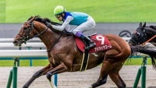 【安田記念想定馬・騎手】アドマイヤズーム、スズハロームなど20頭
