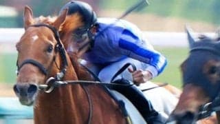 ロイヤルファミリー役のブレイヴソルジャー 新潟千直で連勝なるか