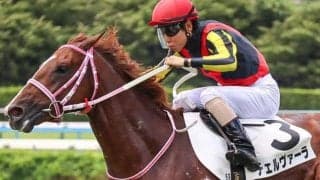 半姉は二冠牝馬チェルヴィニア チェルヴァーラが9カ月ぶりの復帰戦だ