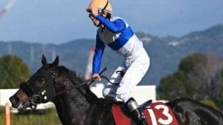 【今日の注目ポイント】平安Sでロードクロンヌが重賞2勝目を狙う