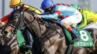 全兄は名馬イクイノックス イクシードがカーネーションCで確勝期す