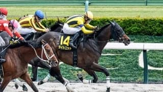 平安Sは4歳馬が優勢か ダート中距離戦線を占う重要な一戦