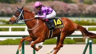 今村聖奈がオークス騎乗へ…女性ジョッキー騎乗馬