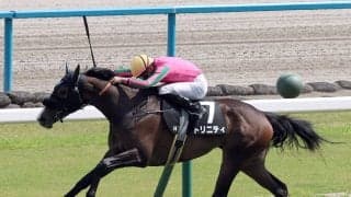 【競馬予想】オークスは「縁のある血統」から２頭に期待　本命は、2014年にレースを制した母と枠番も同じ２勝馬