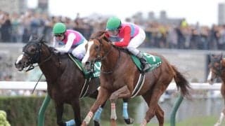 ペイシャエス引退…美浦トレセンで乗馬へ