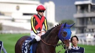 香港G1へ態勢整う、ローシャムパーク＆ディープモンスター順調…香港最強ロマンチックウォリアーに挑む