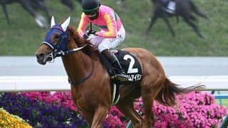 【メルボルンT結果】8番人気テイエムアイランが逃げ切り2連勝