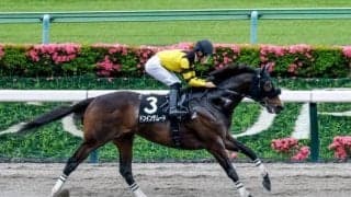 【欅S結果】ドンインザムードが59キロを背負って7馬身差圧勝